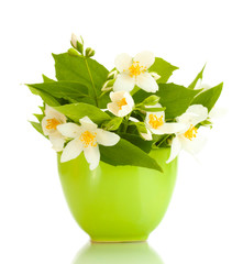 beautiful jasmine flowers in green vase isolated on white