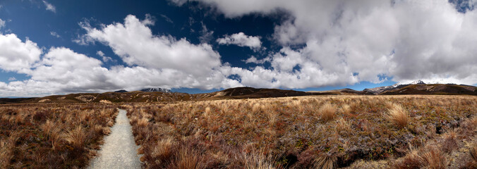 Karge Landschaft im Tongariro Nationalpark  (Panorama) © cmfotoworks