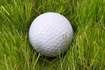 golf ball in the green grass