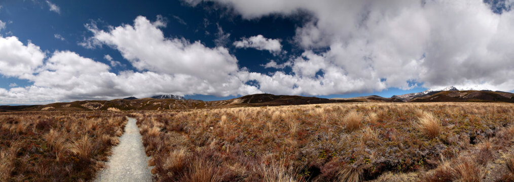 Karge Landschaft im Tongariro Nationalpark  (Panorama)