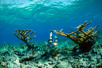 Woman snorkeling in tropical destination