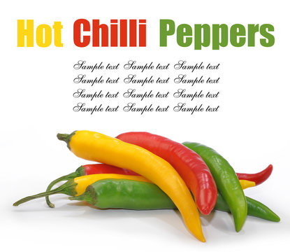 hot chilli peppers isolated on white background
