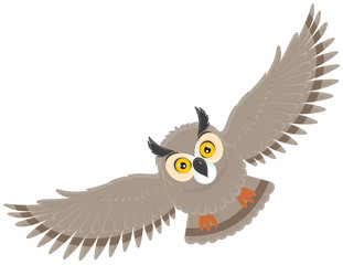 Obraz premium flying owl