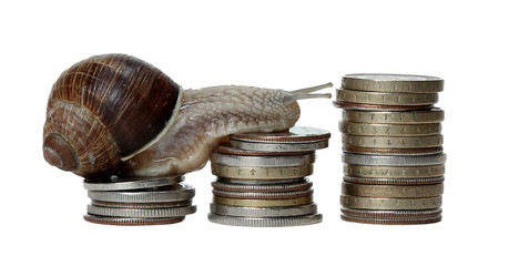 snail scrambles stack of coins