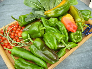 Produce from a Kitchen Garden