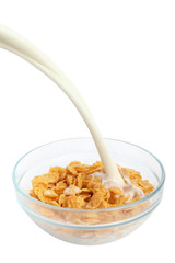 Cereal flakes breakfast