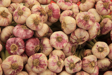 Fresh garlic on a market