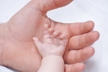Handfläche
