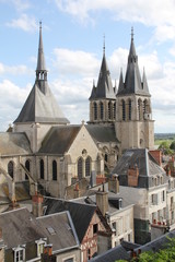 Fototapeta na wymiar Miasto Blois
