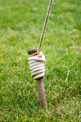 Close Up of Tent Stake Wrapped With Rope