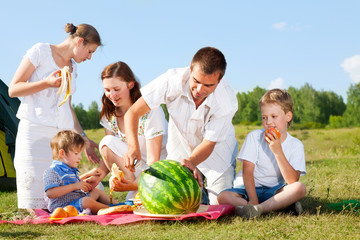 family picnic