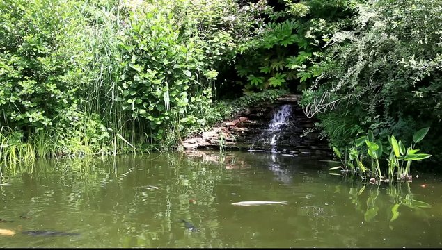 petite cascade de bassin de jardin