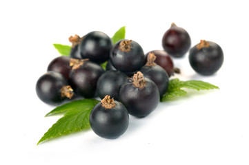 black currants with leaves