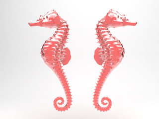 Cavalluccio Marino ippocampo © LaCozza