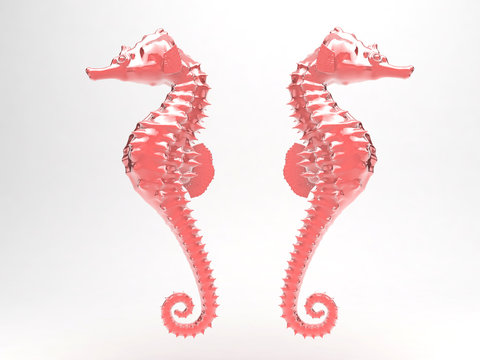 Cavalluccio Marino ippocampo