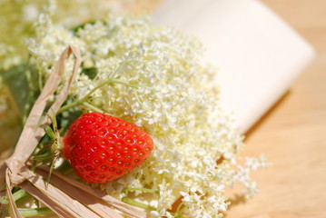 Elderflower herb table decorations