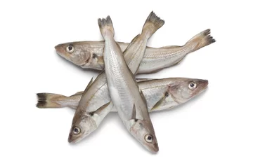 Poster Vis Fresh raw whiting