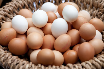Eier im Korb