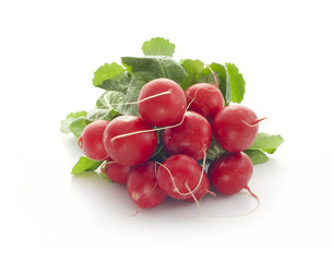 radish on white background