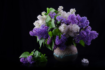 Still life of purple and white lilac in vase