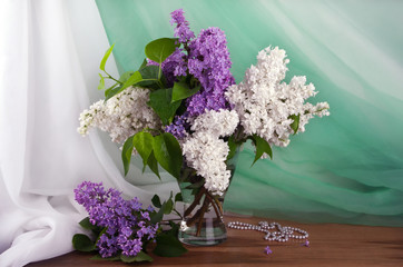 Still life of purple and white lilac in glass vase