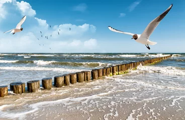 Fotobehang Oostzee © refresh(PIX)