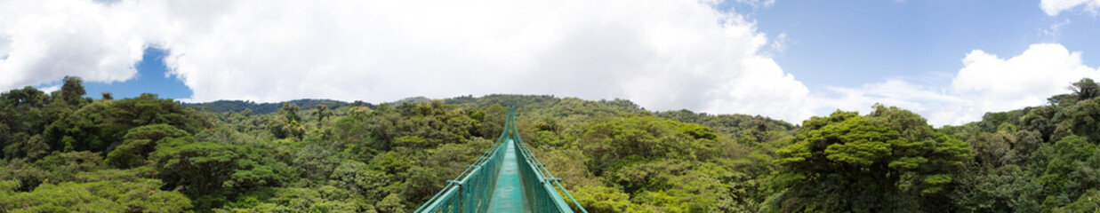 Fototapeta na wymiar Chmura lasów w Kostaryce