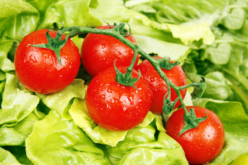 Fresh tomatoes