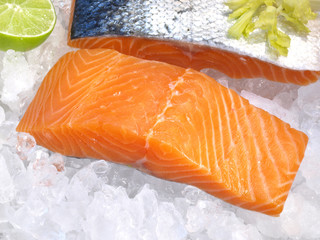 Lachsfilet auf Eis