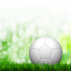 Fototapeta premium 3D Football in green grass and background