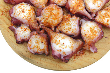 Octopus Galician