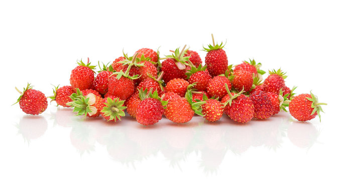 Wild strawberries on a white background