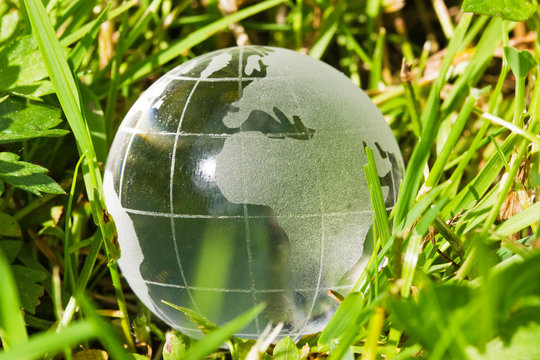 glass globe in the grass