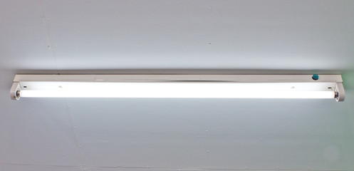 Fluorescent lamp