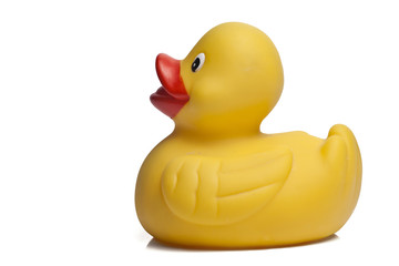 Rubber duck
