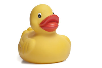 Rubber duck