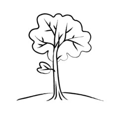 Drawing of tree
