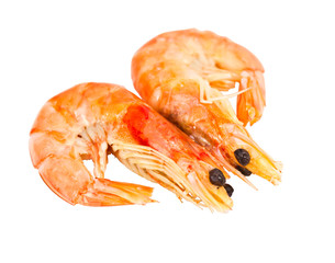 two boiled shrimp isolated on white background