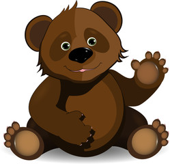 funny bear