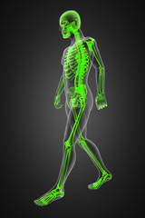 walking man radiography