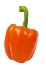 orange paprika (pepper) isolated on a white background