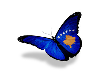 Kosovo flag butterfly flying, isolated on white background