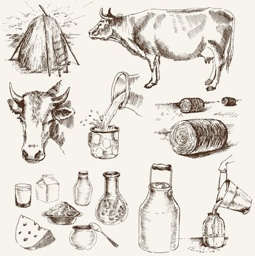 cow and milk products