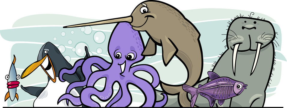 Cartoon sea life animals design
