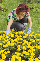Naklejka na ściany i meble Lady doing some gardening in colorful garden