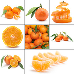 tangerine collection