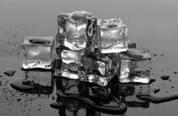 Melting ice cubes on grey background