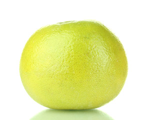 green grapefruit isolated on white