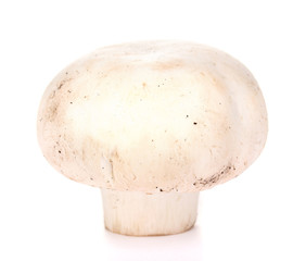 fresh mushroom isolated on white