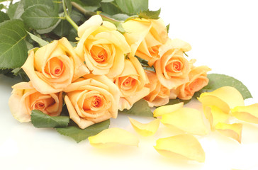 beautiful bouquet of roses and petals isolated on white